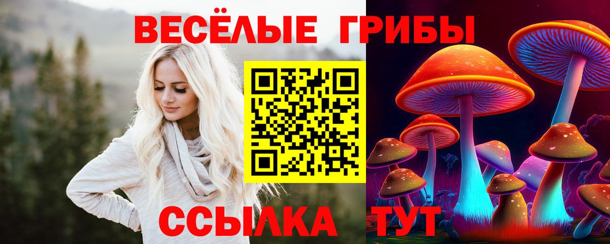 Псилоцибиновые грибы MAGIC MUSHROOMS  Галлюциногенные грибы мицелий  Качканар  Вход с VPN 